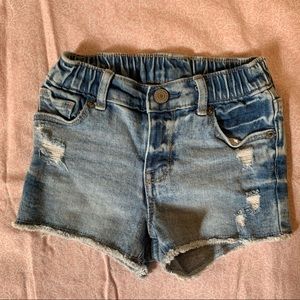 Toddler girl jean shorts  5T